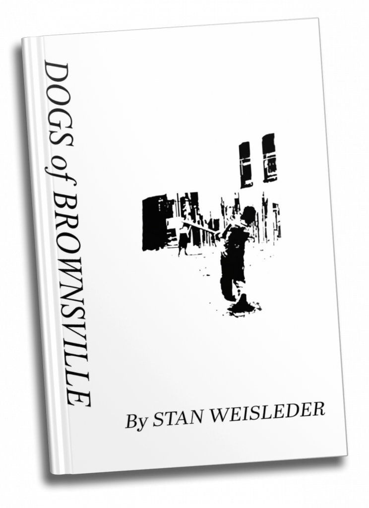 frontbook paperback(tilted)